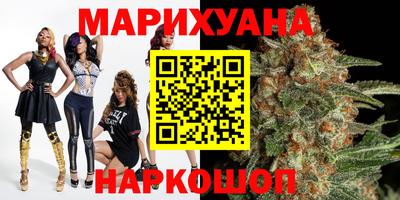 крисы Аргун
