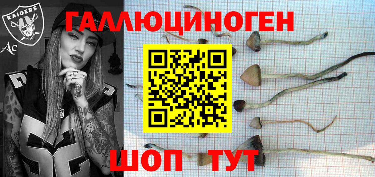 Псилоцибиновые грибы MAGIC MUSHROOMS  Вышний Волочёк 