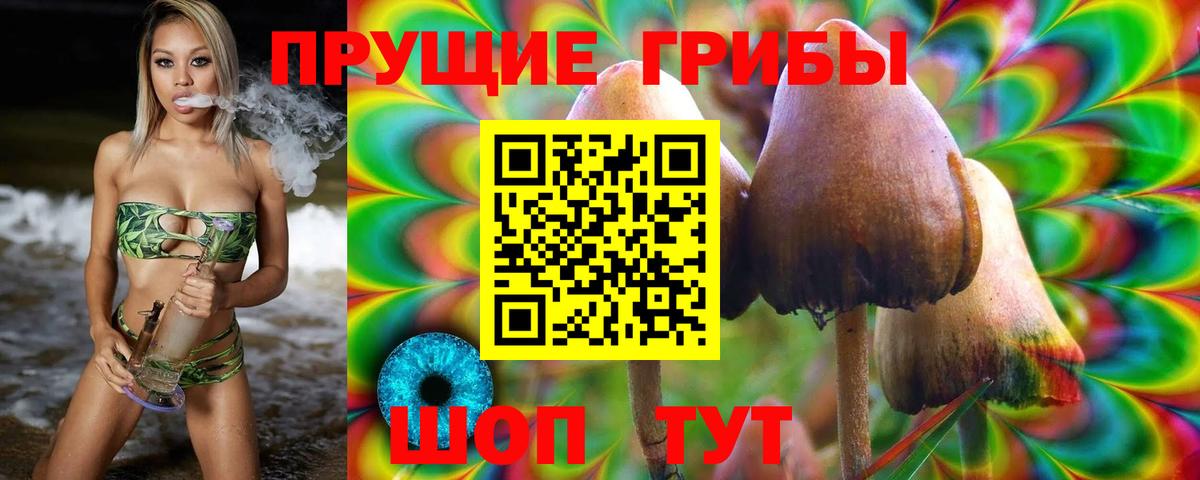 Галлюциногенные грибы Cubensis Вышний Волочёк