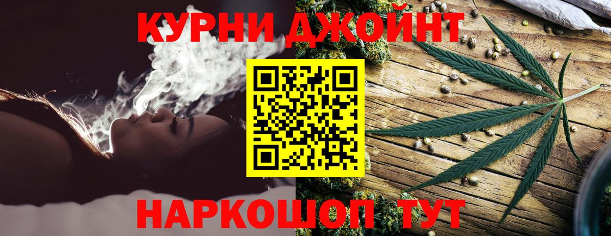 Конопля сатива Вышний Волочёк